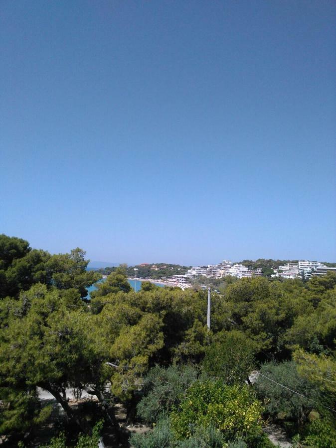 Comfortable Garden Apt Near Vouliagmeni Beach Афины Экстерьер фото